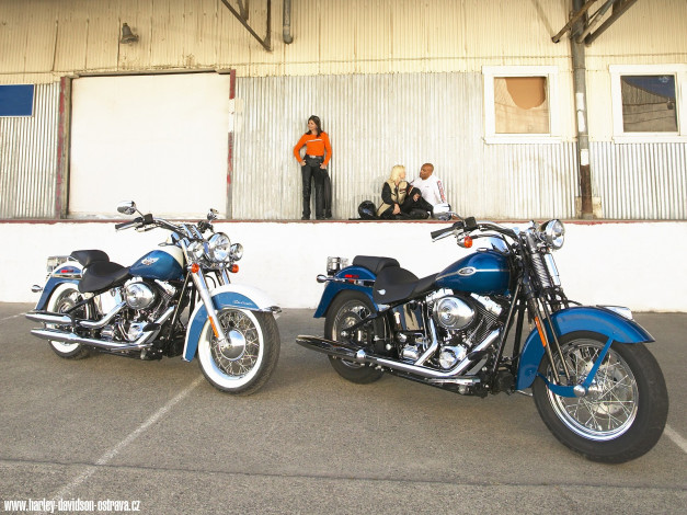 Обои картинки фото мотоциклы, harley, davidson