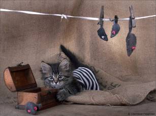 Картинка svet lana про заготовки животные коты
