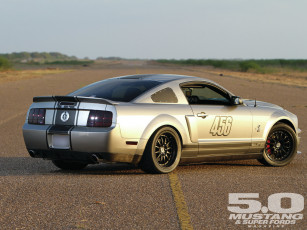 Картинка 2008 ford shelby gt500 mercurial vapor автомобили mustang mustang2