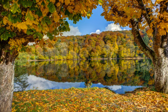 Картинка германия ульмен природа реки озера река осень лес