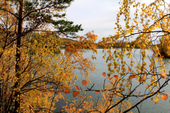 обоя природа, реки, озера, река, деревья, осень