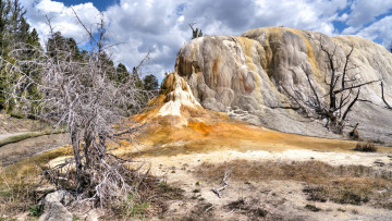 Картинка yellowstone national park wyoming природа горы лес парк
