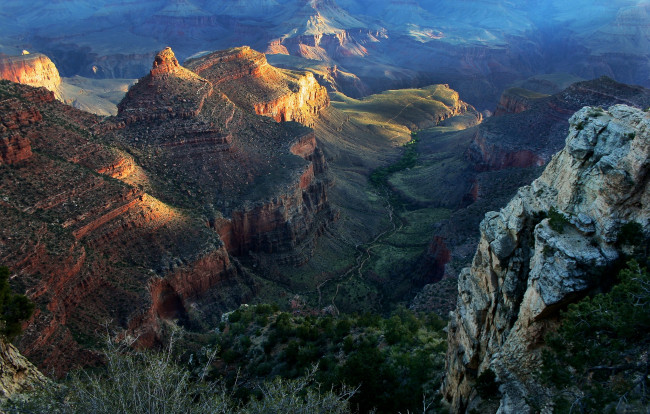 Обои картинки фото the, grand, canyon, природа, горы, каньон, панорама, растительность