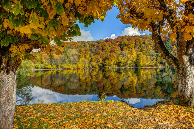 Обои картинки фото германия, ульмен, природа, реки, озера, река, осень, лес