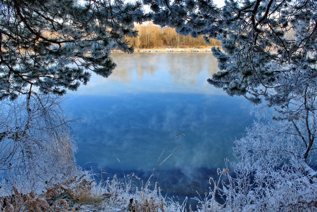 Обои картинки фото природа, реки, озера, снег, иней, деревья, река, зима