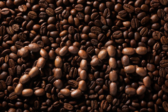 обоя еда, кофе,  кофейные зёрна, beans, coffee, background, 2015, texture