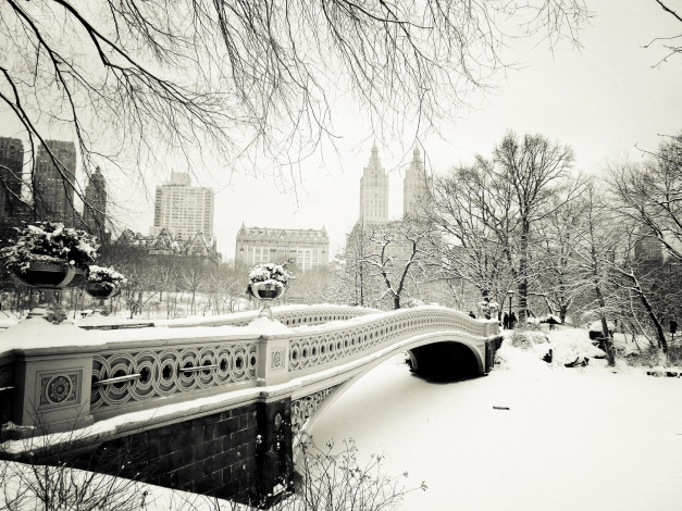 Обои картинки фото города, нью-йорк , сша, клумбы, деревья, мост, здания, дома, парк, снег, город, зима