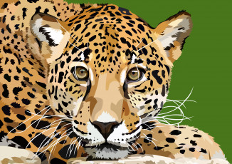 Картинка векторная+графика животные+ animals пантера