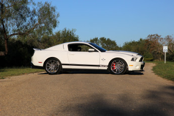 Картинка автомобили mustang super shelby gt500 snake