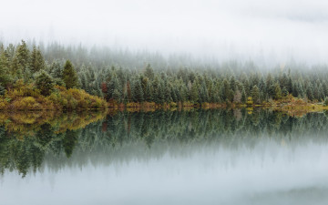 Картинка природа реки озера лес озеро отражение