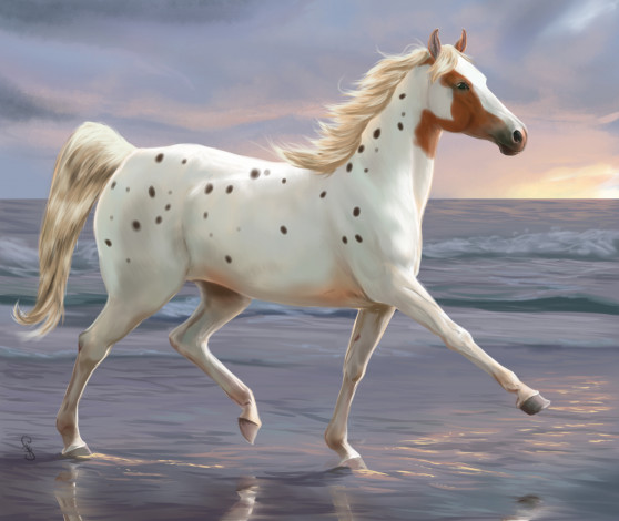 Обои картинки фото рисованное, животные,  лошади, аллюр, фон, лошадь