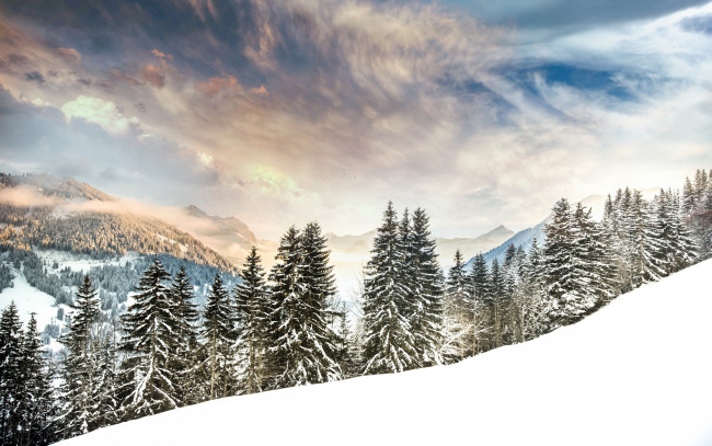 Обои картинки фото природа, зима, alps, switzerland, gstaad, снег, альпы, ели, деревья, горы, лес, швейцария, гштад