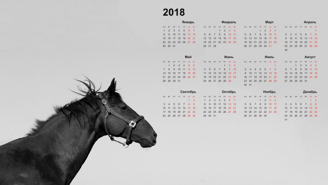 Обои картинки фото календари, животные, лошадь, 2018