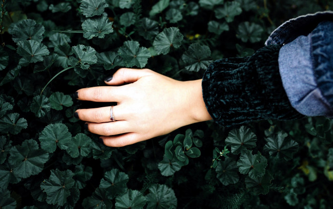 Обои картинки фото разное, руки, рука, листья, кольцо