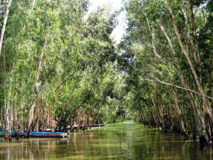 Картинка природа реки озера вода деревья река