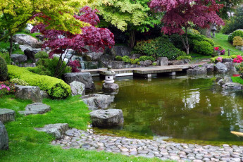обоя природа, парк, садик, японский