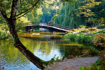 обоя природа, парк, водоем, мостик