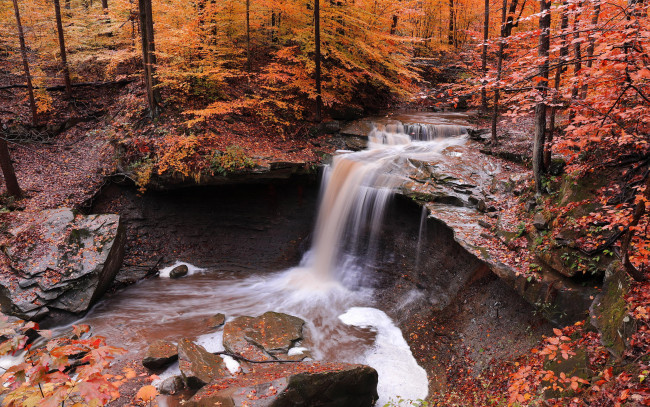 Обои картинки фото природа, водопады, водопад, осень, лес