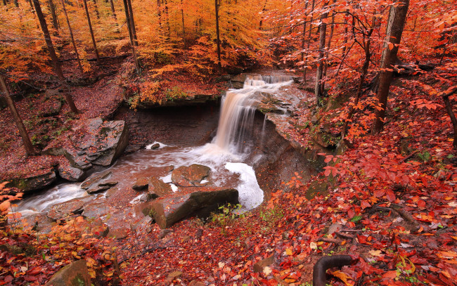 Обои картинки фото природа, водопады, водопад, осень, лес
