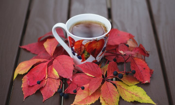 обоя еда, напитки,  чай, листья, чашка, чай, осень