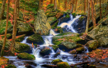 Картинка природа водопады лес осень камни ручей
