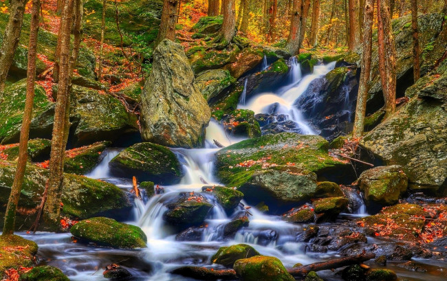 Обои картинки фото природа, водопады, лес, осень, камни, ручей