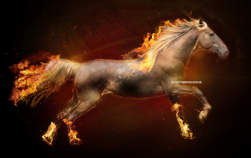 Картинка разное компьютерный дизайн лошадь