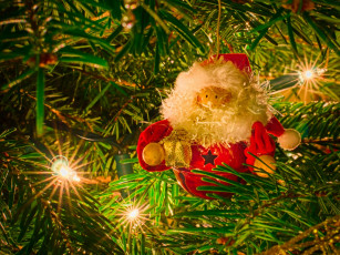 Картинка праздничные дед+мороз дед мороз гирлянда лампочки иголки ёлка