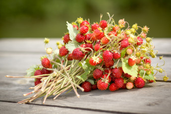 Картинка еда клубника +земляника витамины ягоды лето дары букетик