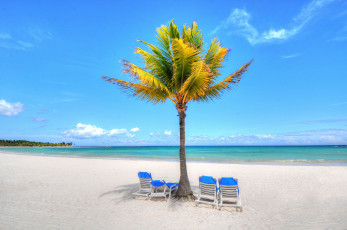 Картинка природа тропики шезлонги пальма пляж океан