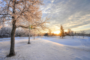 Картинка природа зима дорога поле снег деревья