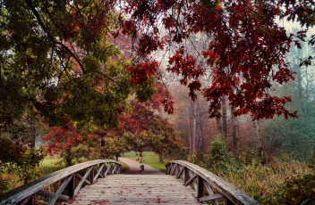 Картинка природа дороги дорожка мостик листва деревья