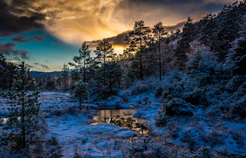 Картинка природа восходы закаты снег рассвет лес горы