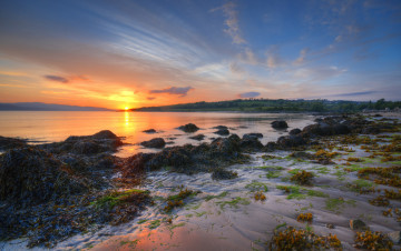 Картинка природа восходы закаты солнце отлив водоросли океан