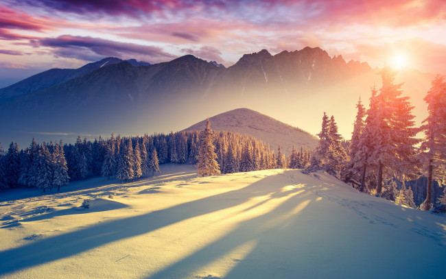 Обои картинки фото природа, восходы, закаты, тишина, декабрь, ели, свет, солнце, тени, облака, небо, снег, горы, деревья