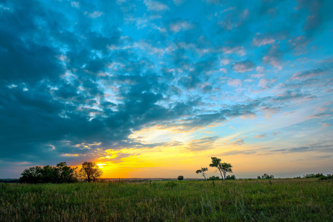 Обои картинки фото природа, восходы, закаты, поле, рассвет, облака, трава