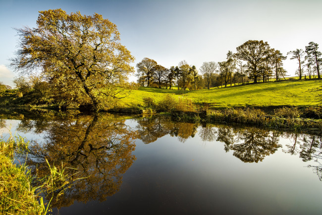 Обои картинки фото природа, реки, озера, трава, река, деревья