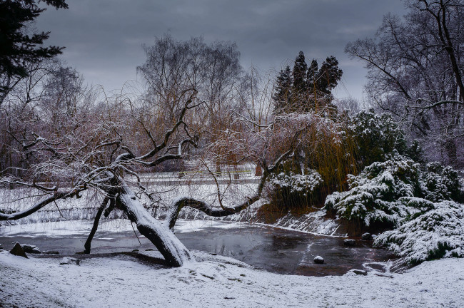 Обои картинки фото природа, зима, парк, снег