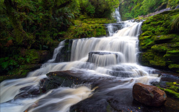 Картинка mcclean+falls +new+zealand природа водопады new zealand mcclean falls