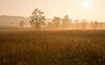Картинка природа поля туман поле