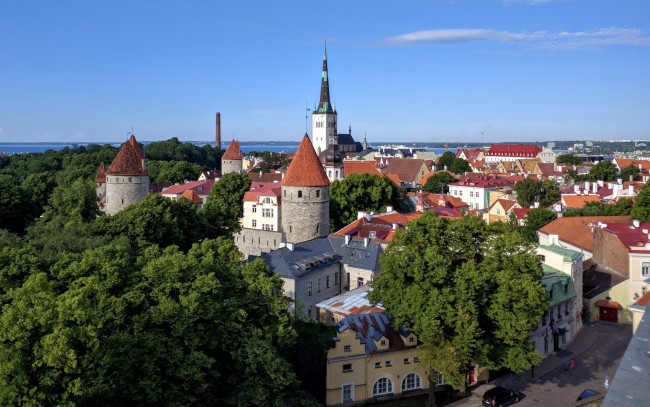 Обои картинки фото города, таллин , эстония, панорама, башни, деревья