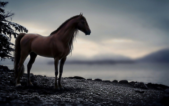 Обои картинки фото рисованное, животные,  лошади, камни, обрыв, конь, лошадь
