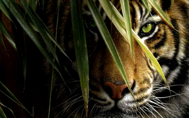 Обои картинки фото рисованное, животные,  тигры, тигр, зверь, хищник, взгляд, листья