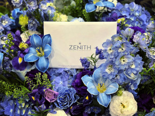 обоя бренды, zenith, конверт, цветы, букет