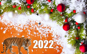 обоя праздничные, - разное , новый год, новый, 2022, год, тигра, пусть, принесёт, вам, всего, лучшего, то, что, вы, хотите, и, задумали