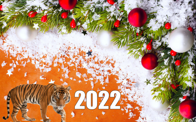 Обои картинки фото праздничные, - разное , новый год, новый, 2022, год, тигра, пусть, принесёт, вам, всего, лучшего, то, что, вы, хотите, и, задумали