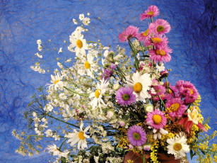 Картинка цветы букеты +композиции букет ромашки маргаритки