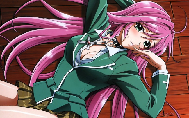 Обои картинки фото аниме, rosario   vampire, девушка, пол