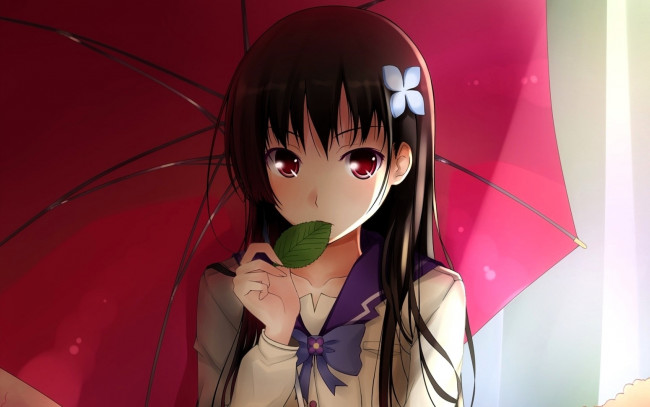 Обои картинки фото аниме, sankarea, девочка, лист, зонт