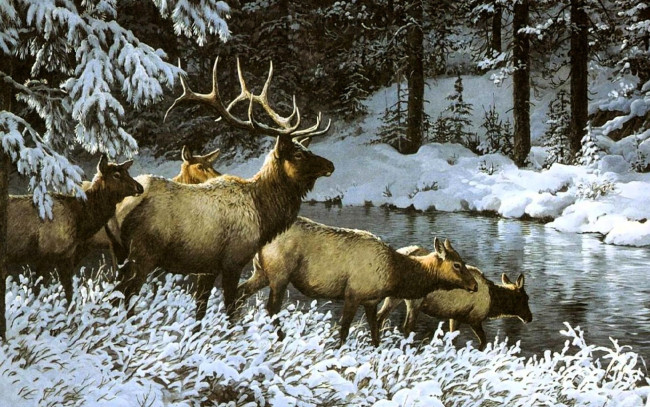 Обои картинки фото рисованное, jorge j mayol, олени, река, снег, лес
